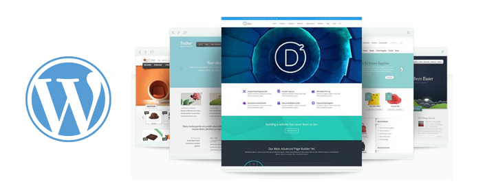 Bien Choisir son Thème Wordpress